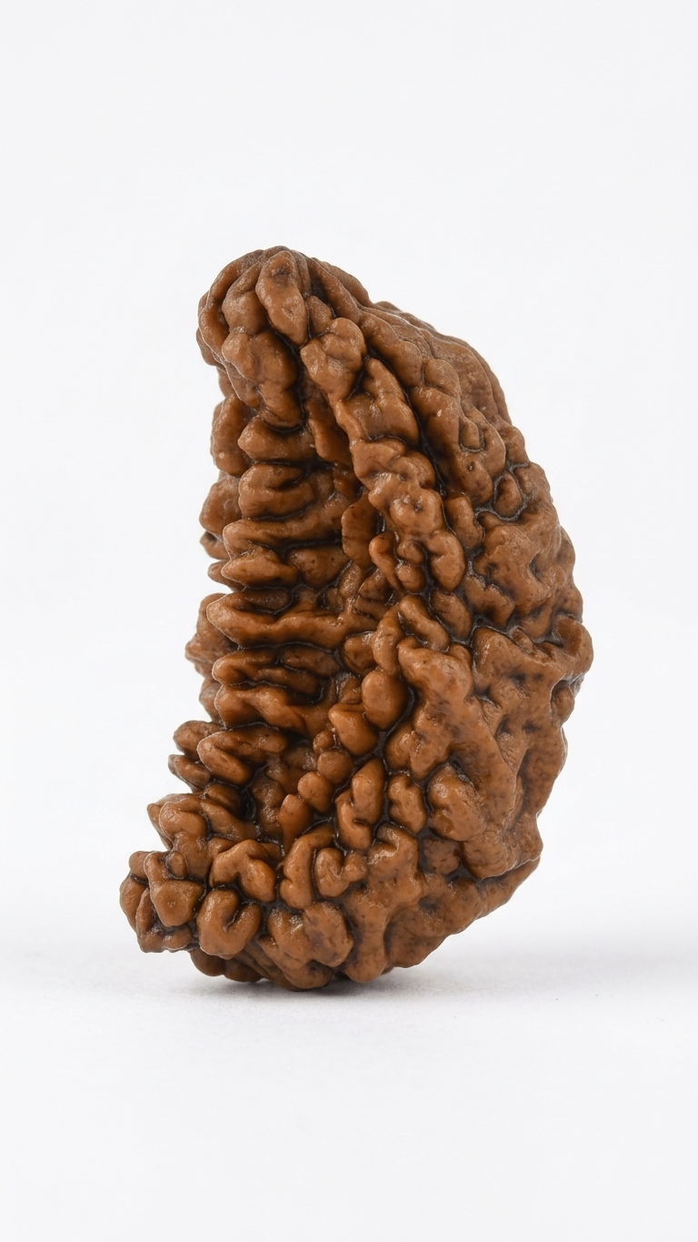 ONE MUKHI RUDRAKSHA