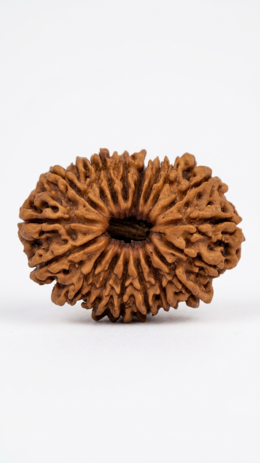 18 MUKHI RUDRAKSHA