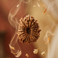 21 MUKHI RUDRAKSHA