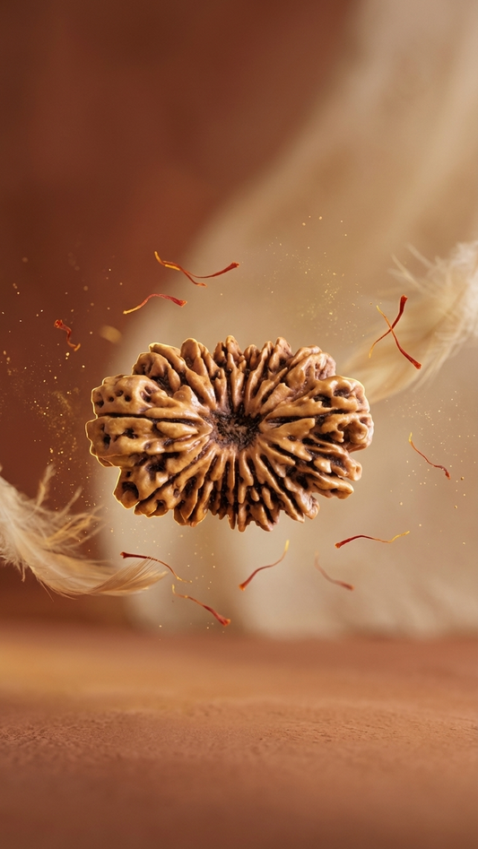 15 MUKHI RUDRAKSHA