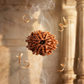 NINE MUKHI RUDRAKSHA