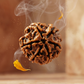 SIX MUKHI RUDRAKSHA