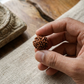 SIX MUKHI RUDRAKSHA