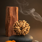11 MUKHI RUDRAKSHA