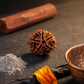 FIVE MUKHI RUDRAKSH