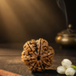 SEVEN MUKHI RUDRAKSHA