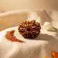 TEN MUKHI RUDRAKSHA